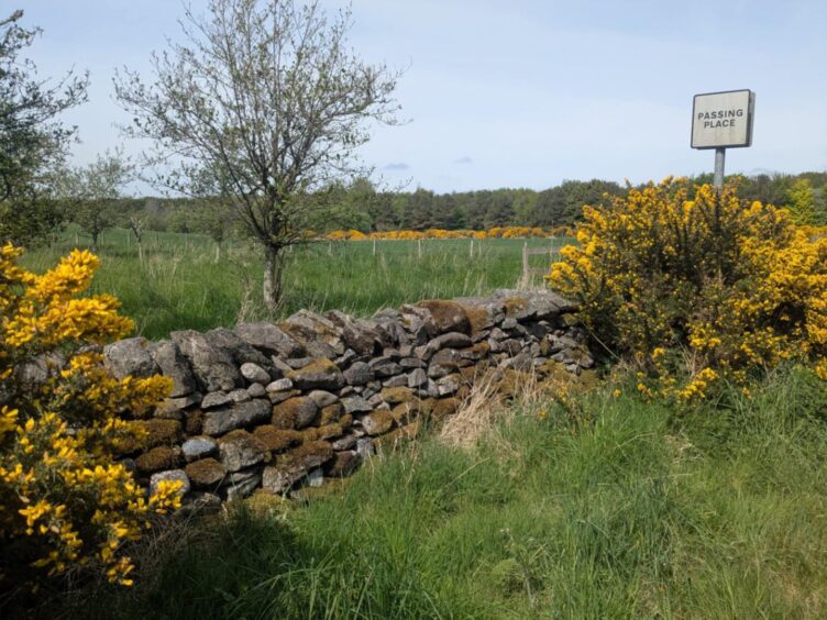 Logie Buchan landscape. 
