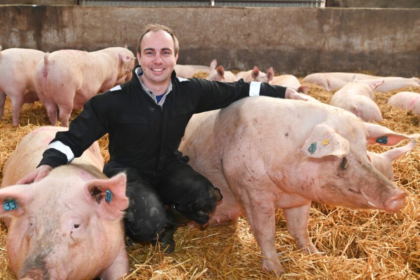 Ben Lowe with some of his pigs on an Aberdeenshire farm
