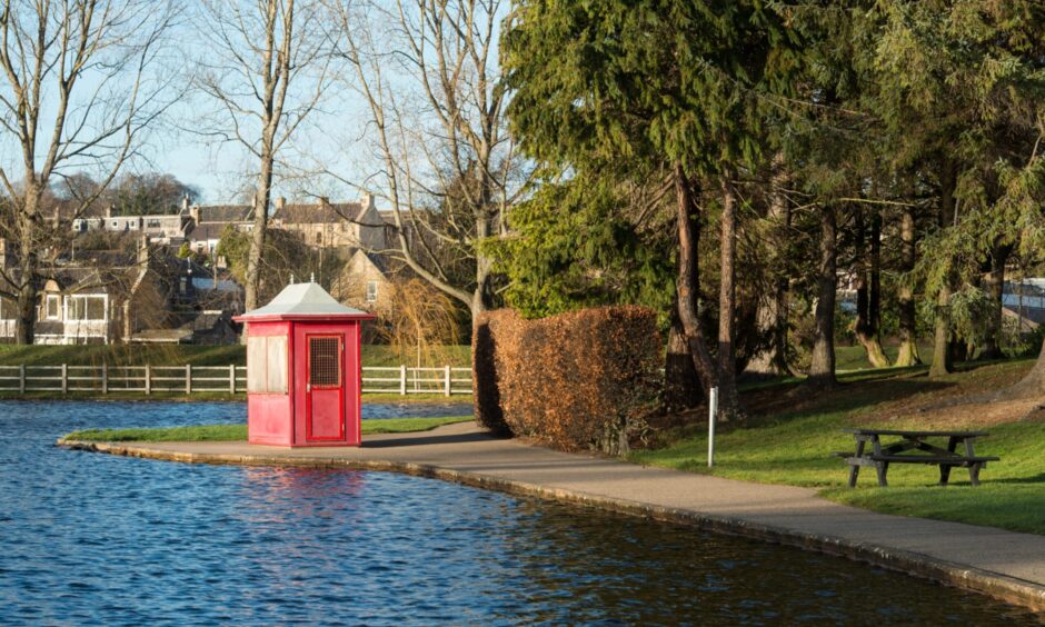 Cooper Park in sun.