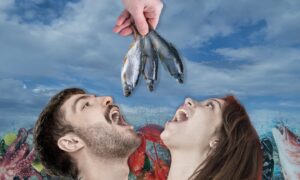 Volunteers will have free fish meals for three months. Image: DCT Design.
