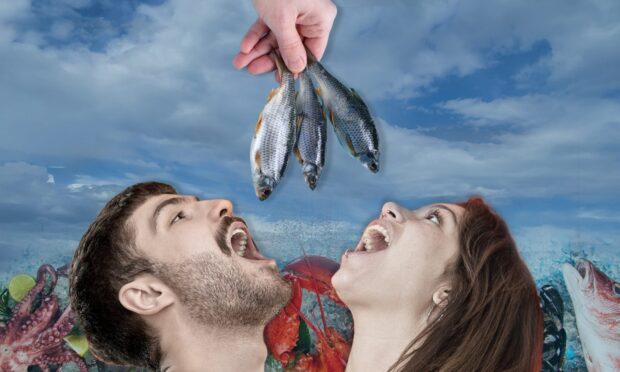 Volunteers will have free fish meals for three months. Image: DCT Design.
