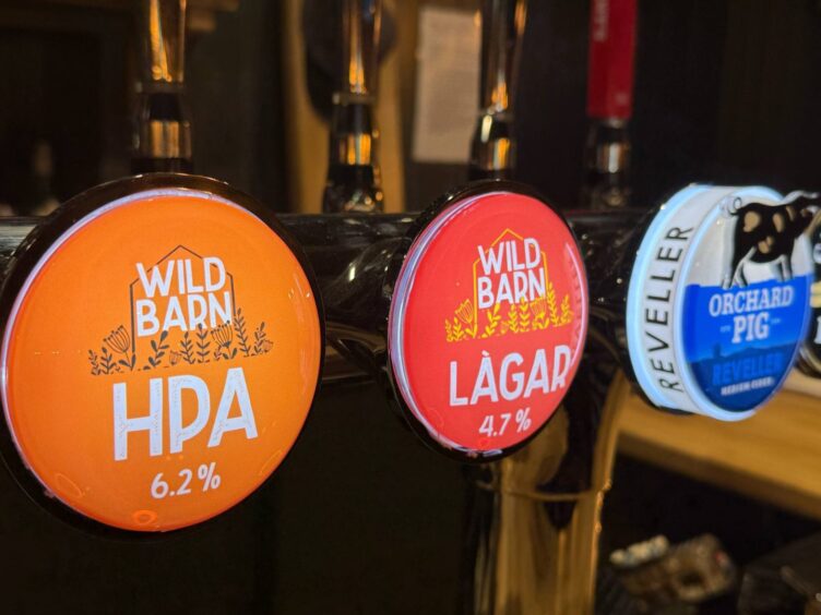 Local Wildbarn beers are on tap