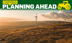 wind turbine in rural setting.