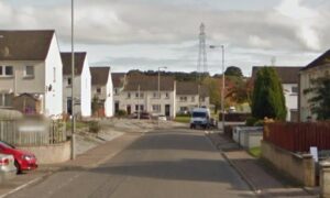 The dog passed away at the scene. Image: Google.