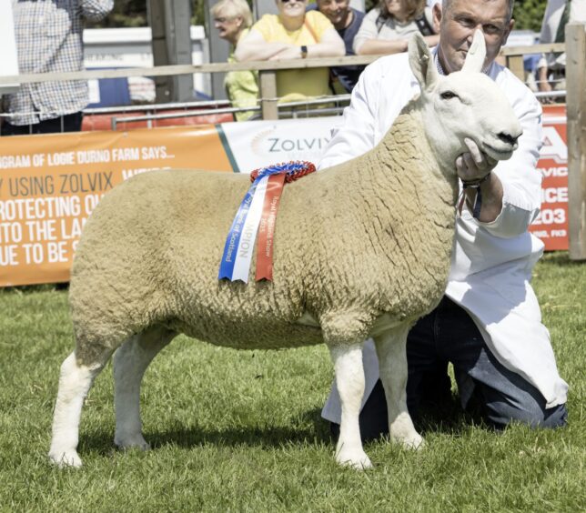 Royal Highland Show