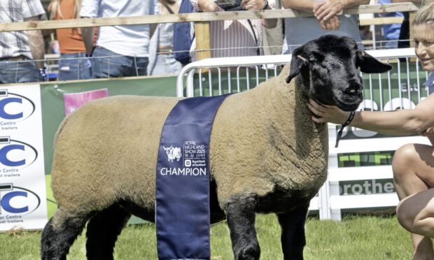 Royal Highland Show