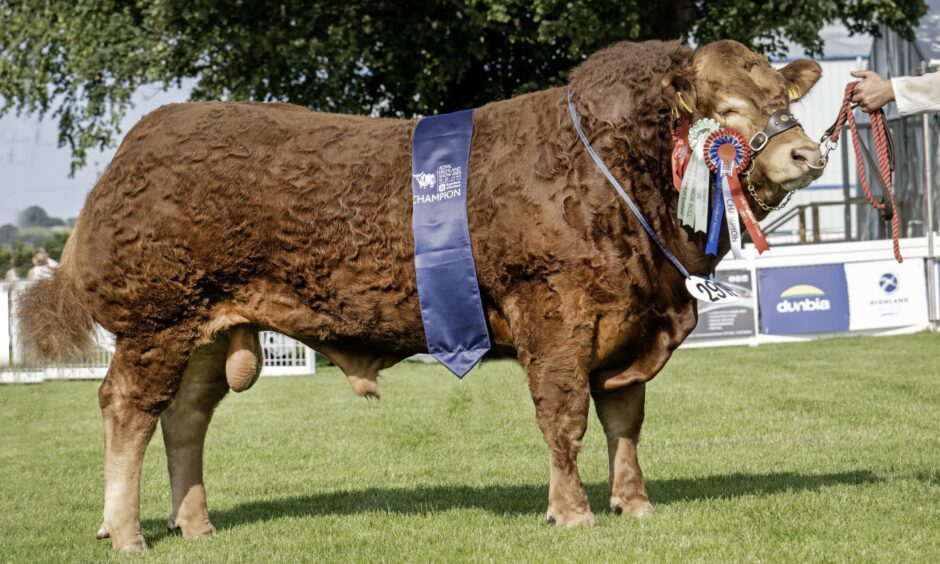Royal Highland Show