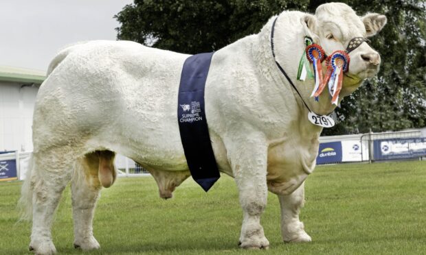 Royal Highland Show