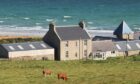 Backaskaill Farm, Sanday.