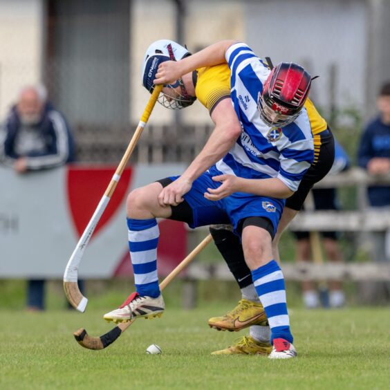 Shinty players from Newtonmore and Fort William battle for possession in a Mowi Premiership match.