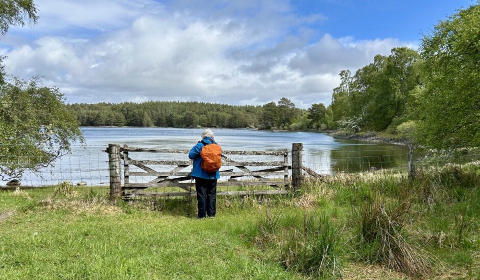 A grey-haired woman wearing a blue jacket and an orange backpack stands with her back to the camera, looking out at Loch Vaa.