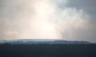 Wildfire.