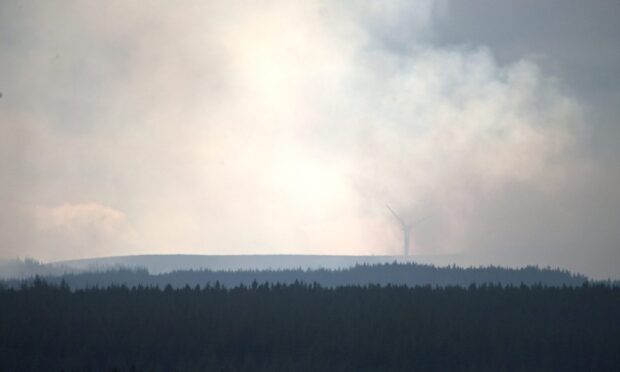 Wildfire.