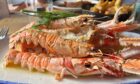 Fresh langoustines from The Boatshed. Stornoway. Image by  Lindsay Bruce / DC Thomson.