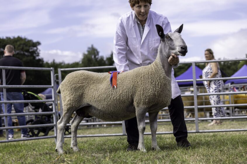 Nairn Show