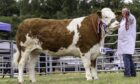 Nairn Show