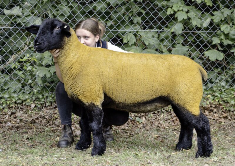 Banchory Show