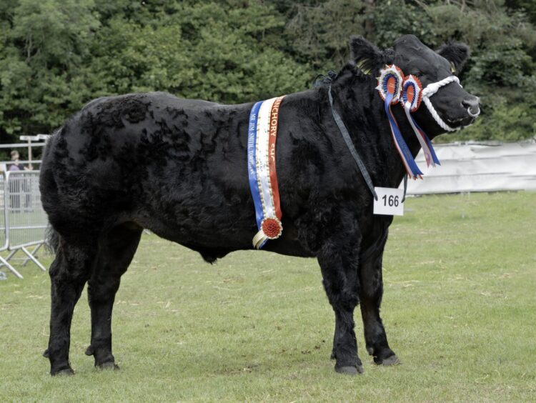 Banchory Show