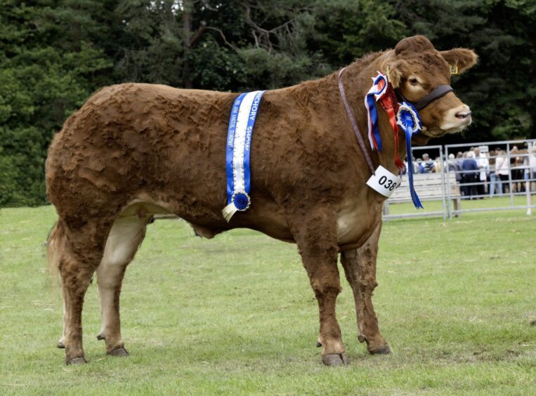 Banchory Show