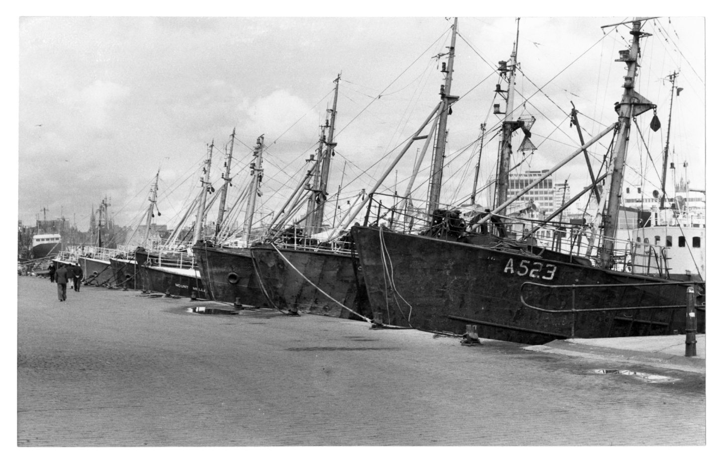 A photograph of trawlers at Albert Quay in Aberdeen Harbour, taken in 1982