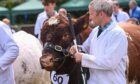 New DeerShow