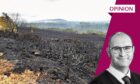 Collage of David Mackay and burnt ground from wildfire.