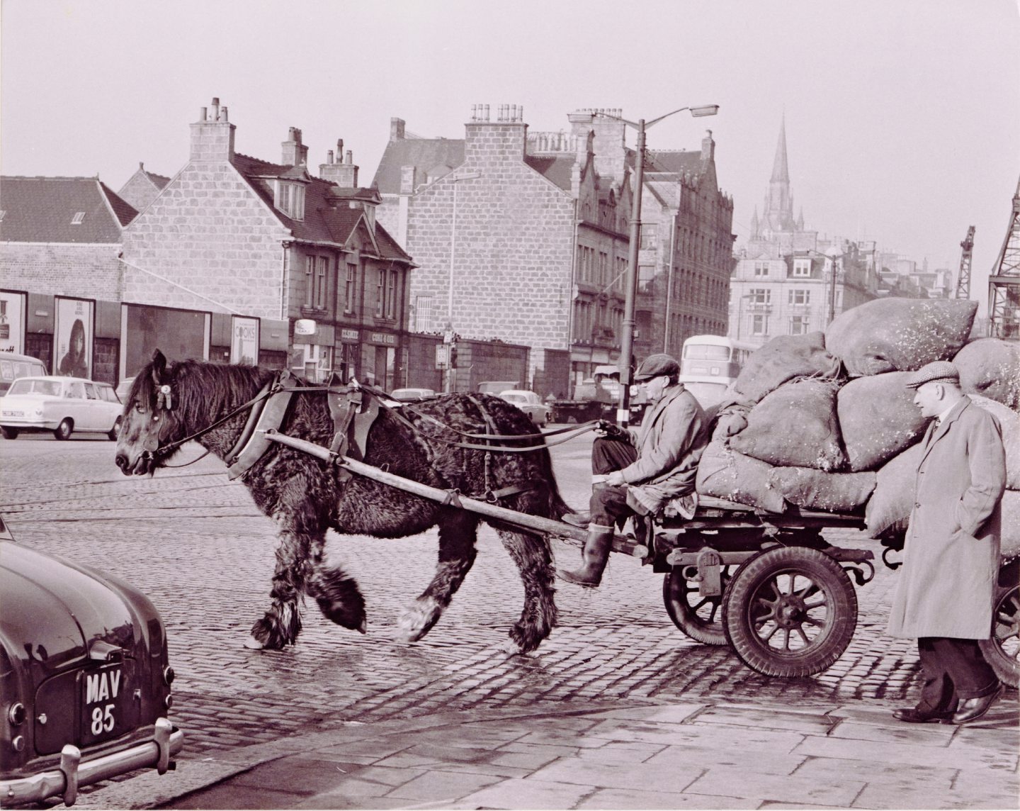 A very shaggy horse leaves Aberdeen Harbour and makes its way over the cobbles of South Market Street with another heavy load.