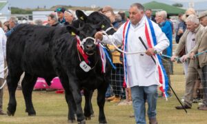 Sutherland Show