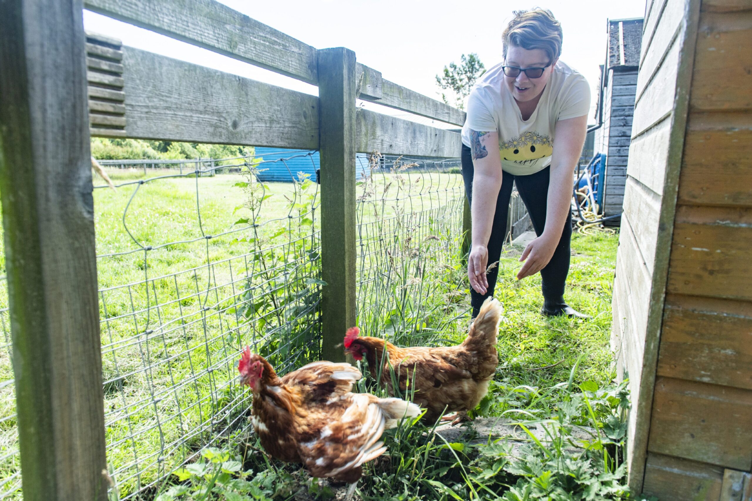 A young woman with dark glasses and short hair, wearing a white T-shirt and black trousers, trying to catch two chickens