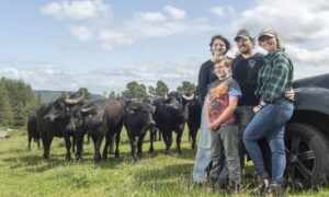 The Lake family of Thorabella Farm in Dallas, Moray. Pictures by Jason Hedges / DC Thomson.