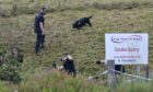 Oban murder search