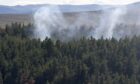Dava wildfire.