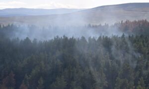 Firefighters from Grantown and Nairn continue to fight isolated hotspots of fire on Dava today as the recent fire re-ignited with the hot temperatures and fanning winds. Image:
Sandy McCook/DC Thomson