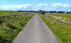 Orkney verges