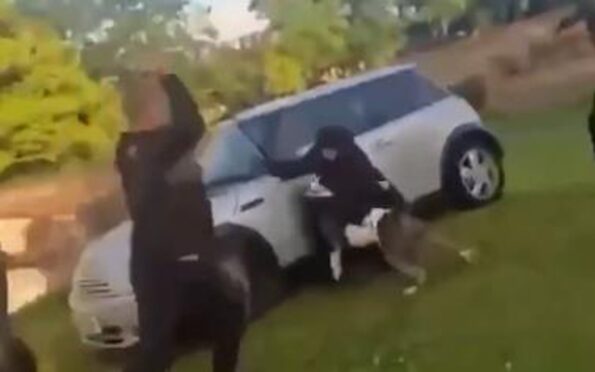 Violent footage of the incident has been shared online.