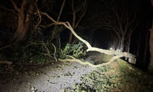 The DSBM team cleared a huge amount of storm debris from north-east roads. Image Dylan Masson.