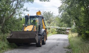 Tractor in front of fallen tree