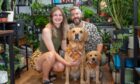 The couple and their two dogs inside the shop.