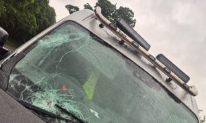 Mum of two Keighly feels lucky to be alive after a tree crashed onto her car during Storm Floris. Image: Keighly Perry