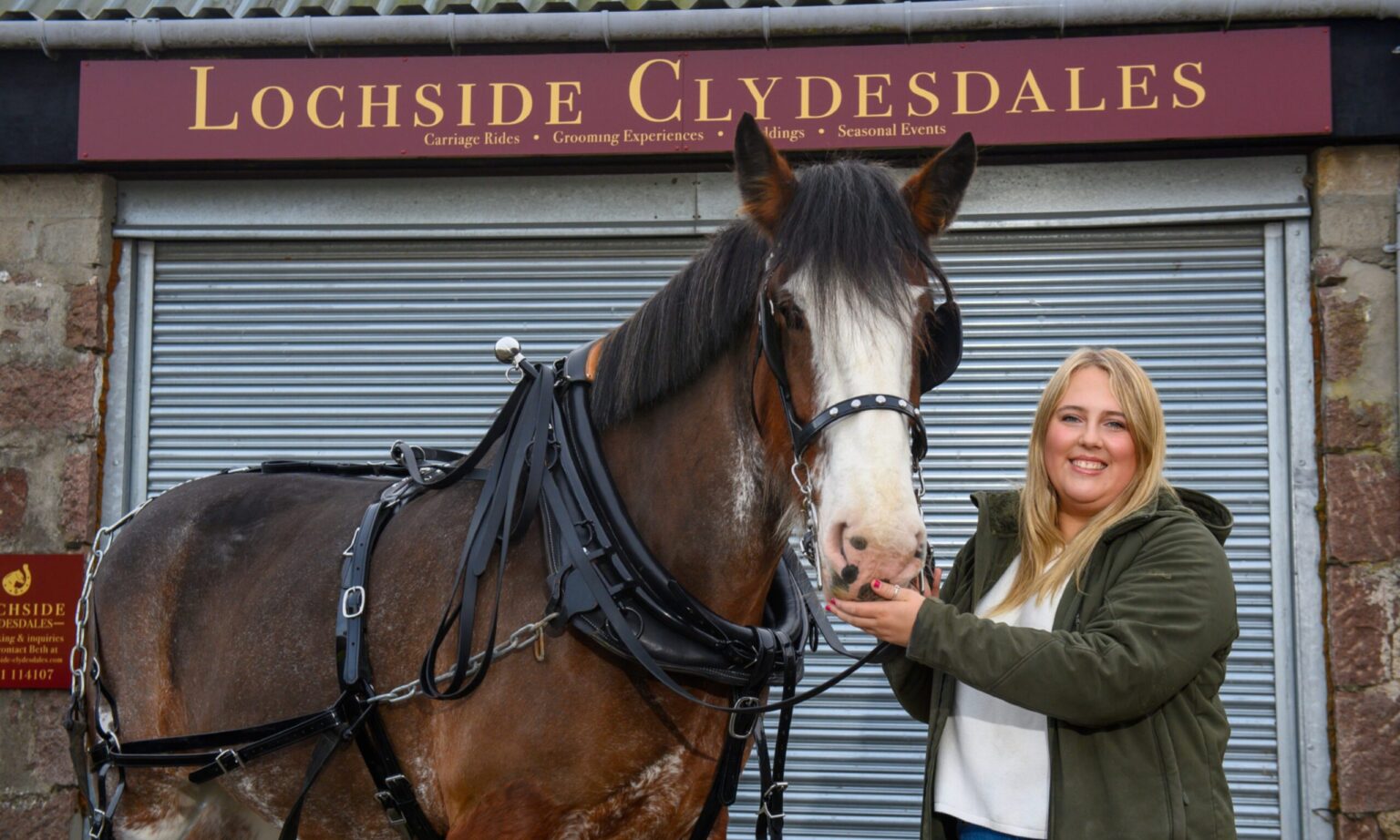Lochside Clydesdales near Banchory: A four-year-old’s horsey dream come true