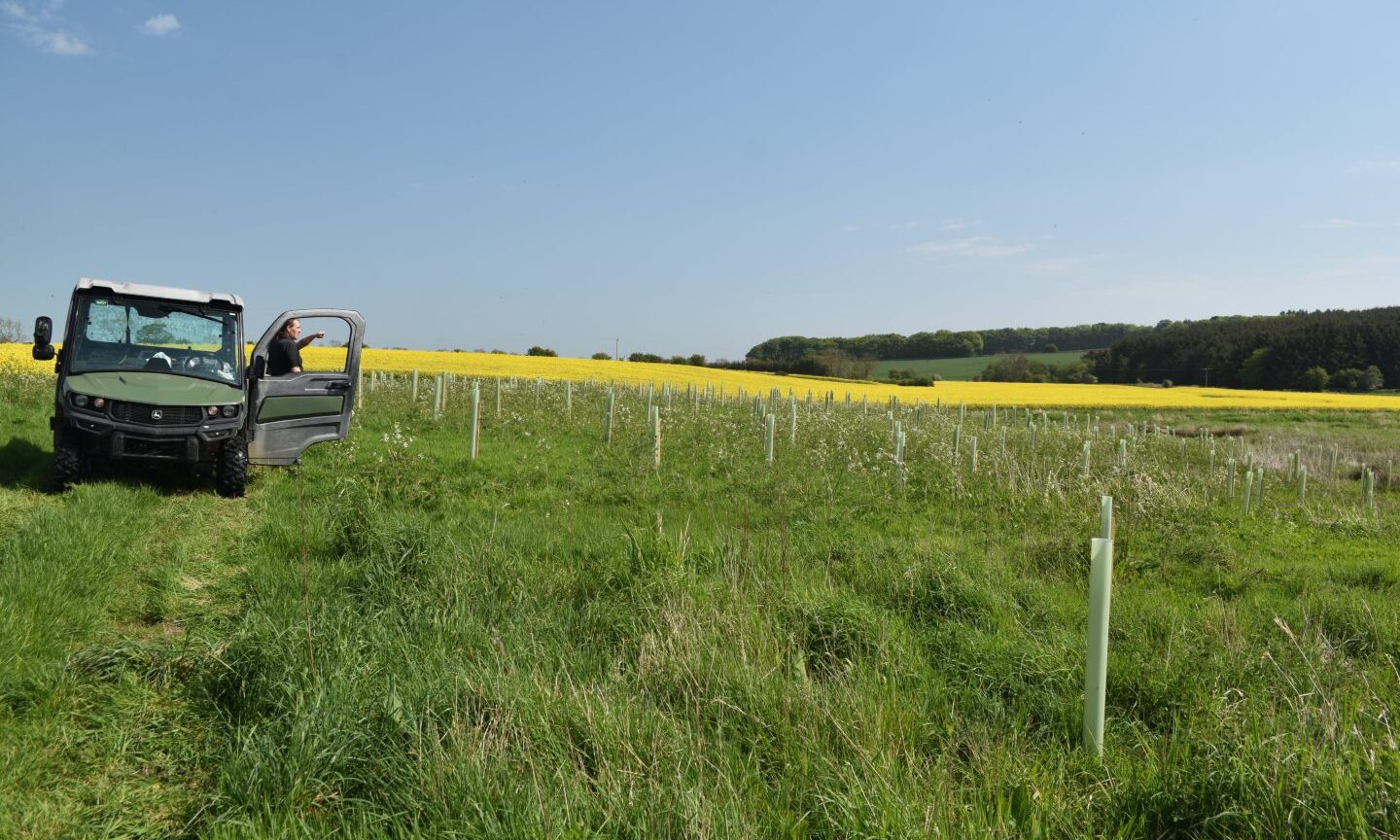King helps ‘sma wids’ take root on Aberdeenshire farmland