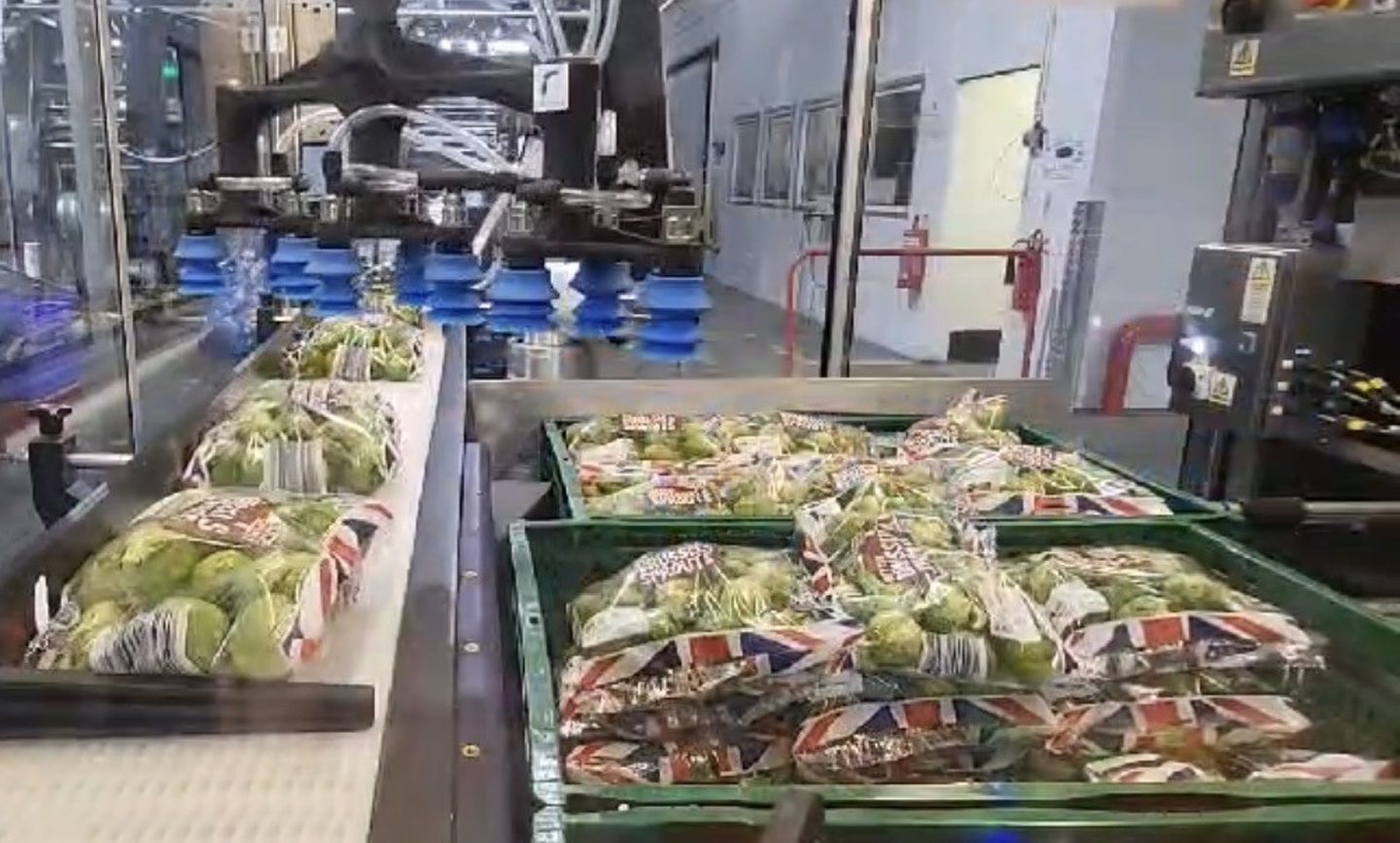 One million bags of Brussels sprouts being packed in Aberdeen – by robots