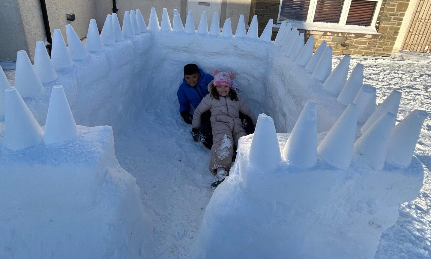 Forts, igloos, snowmen and snowdogs