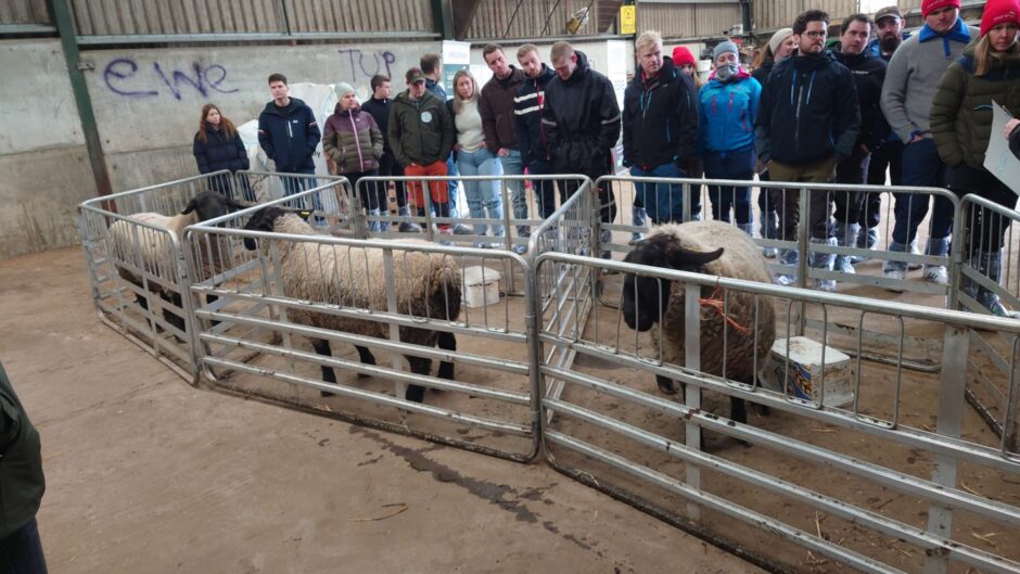 Norwegians visiting Adziel Farm near Strichen.