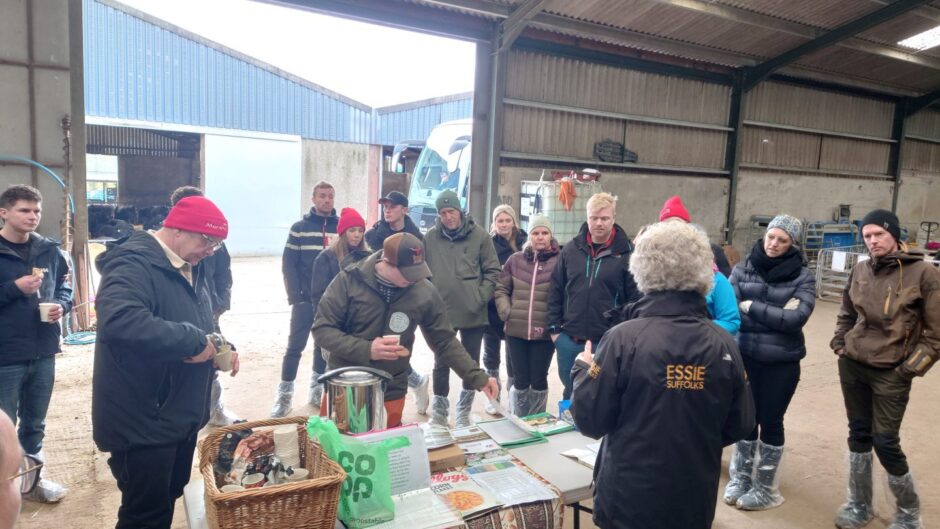 The visitors learned lots about the farm's Essie Suffolks.