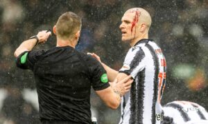 Richard Gordon: St Mirren’s Alex Gogic could be just the type of summer signing Aberdeen need