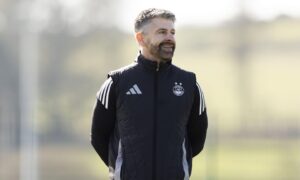 International boss backs Aberdeen head coach Stephen Robinson to be Pittodrie success
