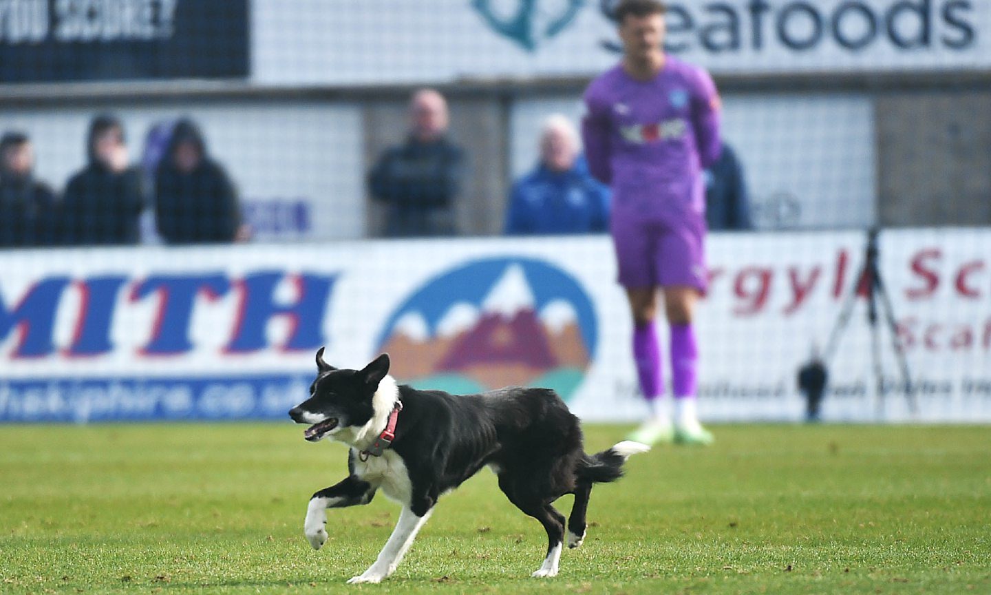 The moment a dog runs onto the pitch during Peterhead’s match against Queen of the South
