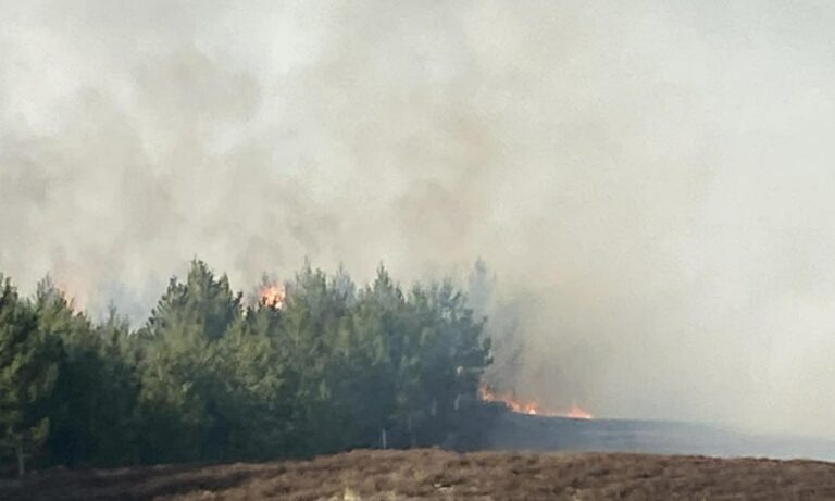 Fire crews battle wildfire near Strathspey railway line at Aviemore
