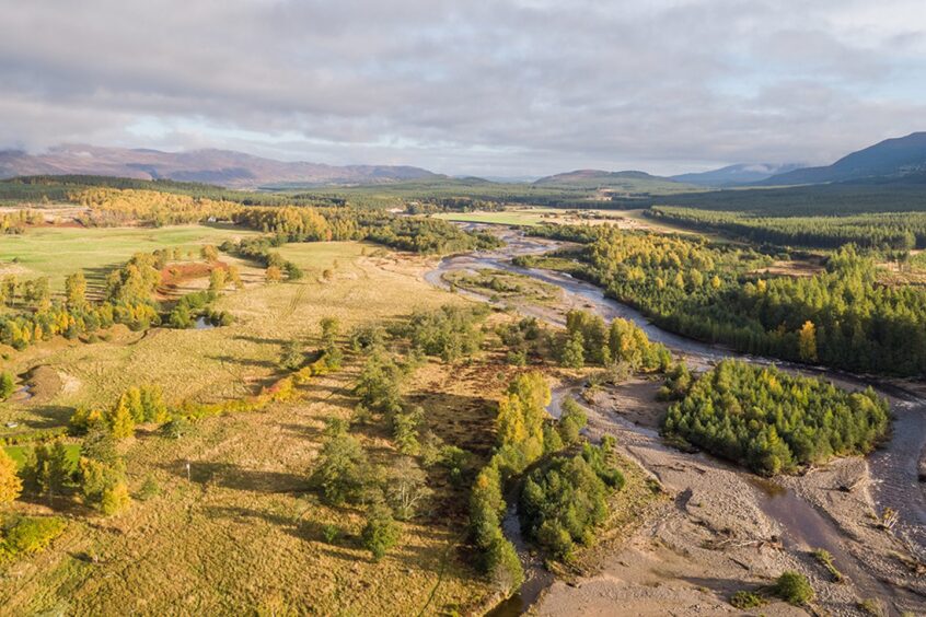 And this is how Ballintean looks today, after more than 25 years of rewilding